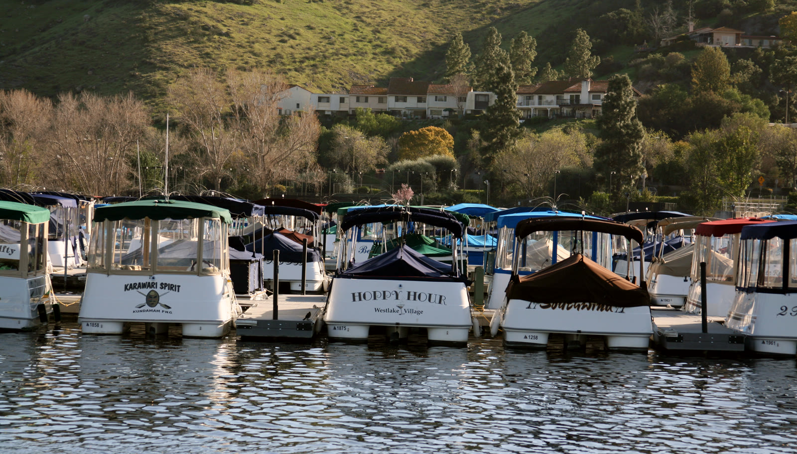 Electric boats moored on Westlake Lake in Westlake Village, California, with green hillsides and lakeside homes behind them